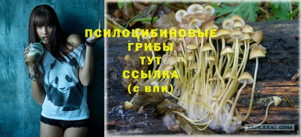 spice Алзамай