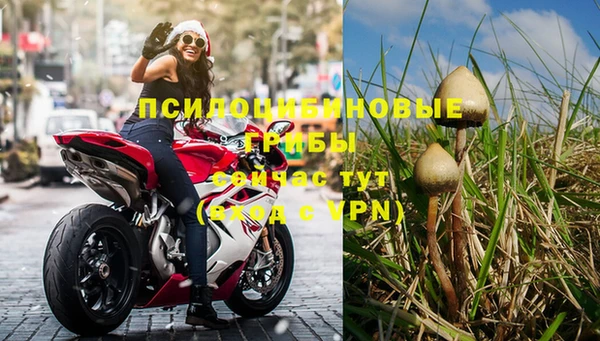 PSILOCYBIN Алексин