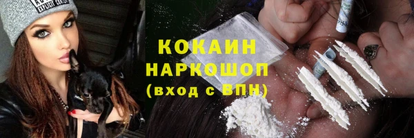 spice Алзамай