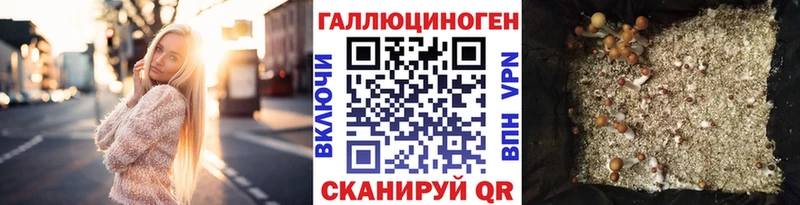 Галлюциногенные грибы мицелий  Плавск 